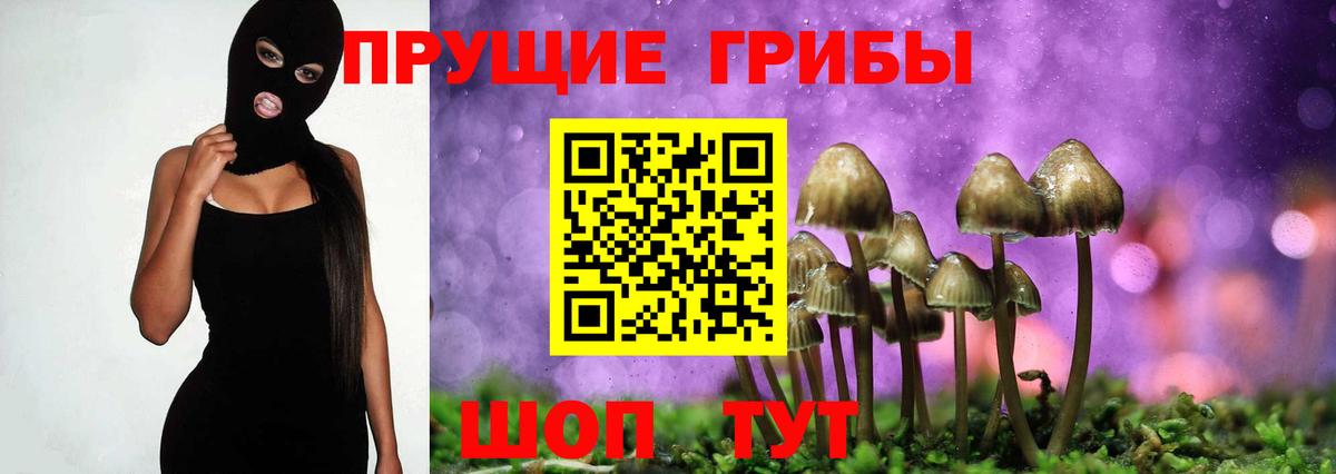 Учалы  Псилоцибиновые грибы Cubensis  Вход с VPN 